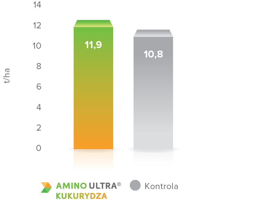 Wpływ AMINO ULTRA CORN na plon kukurydzy