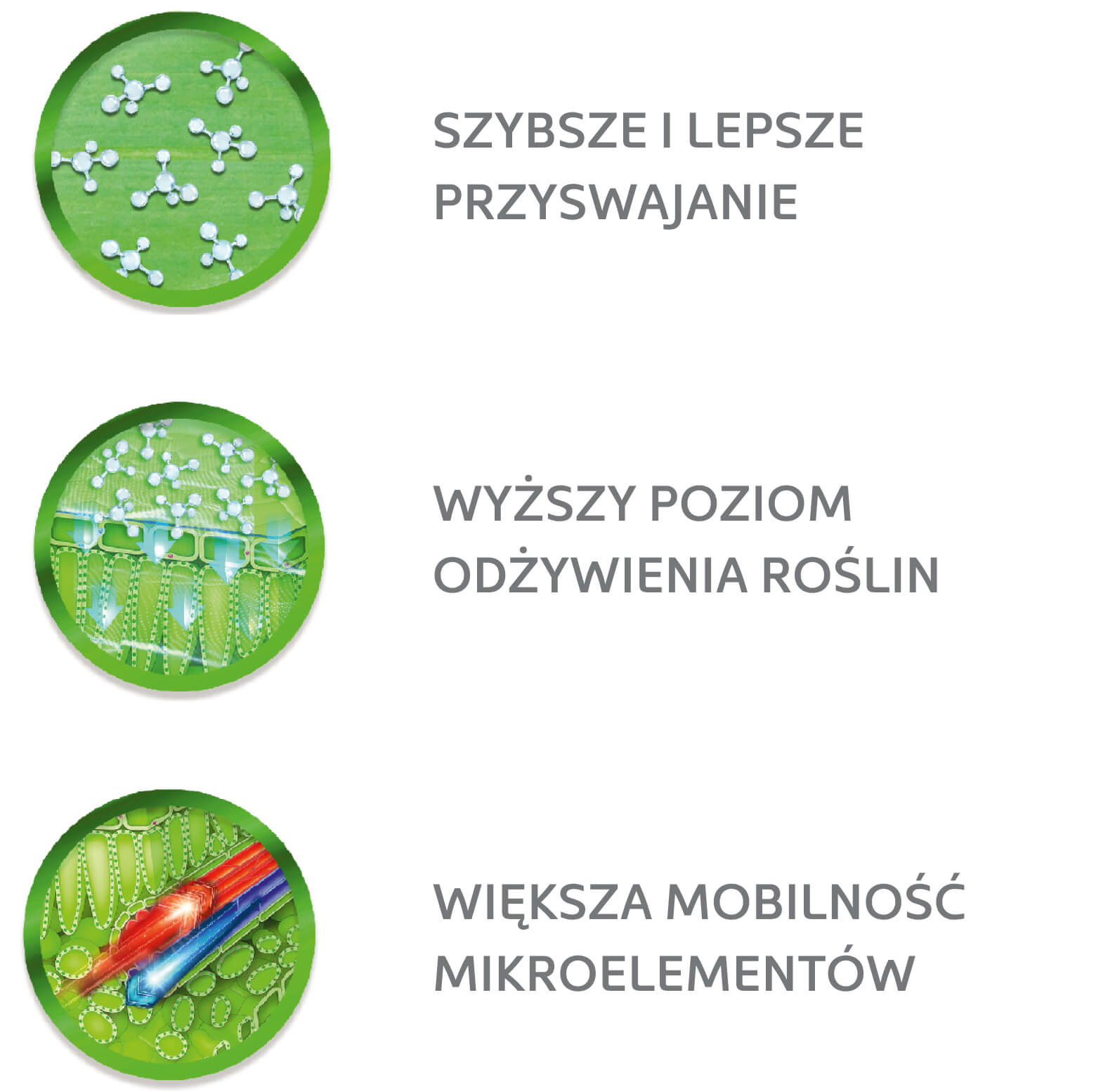 lepszy jakościowo plon